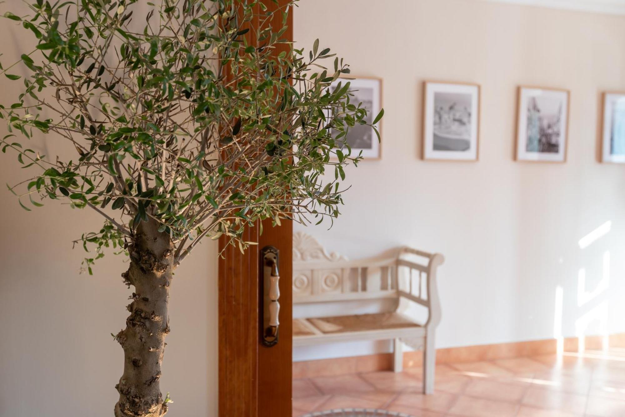 Vila La Casita Del Mar Torremolinos Exteriér fotografie
